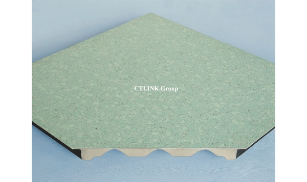 Conductive PVC/Vinyl steel raised floor